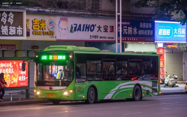 800BUS