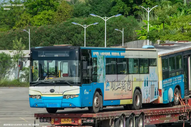 800BUS