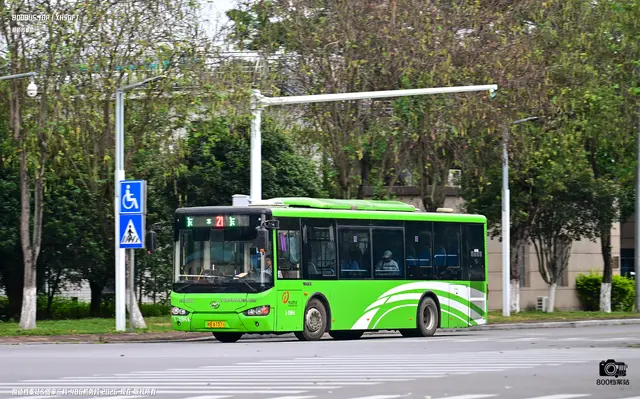 800BUS