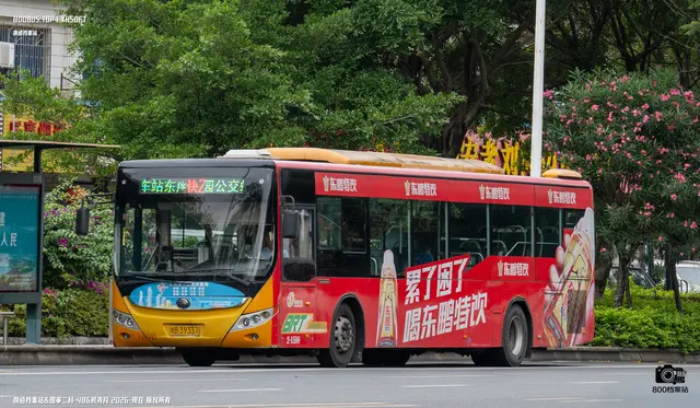800BUS