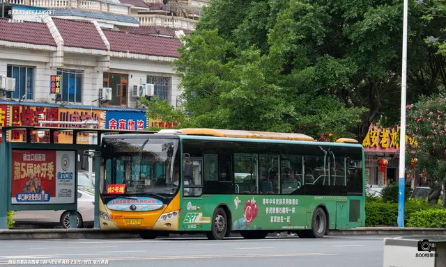800BUS