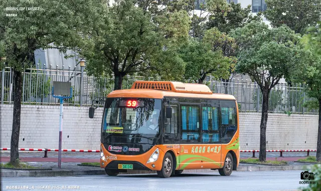 800BUS