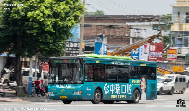 800BUS