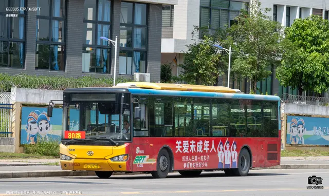 800BUS
