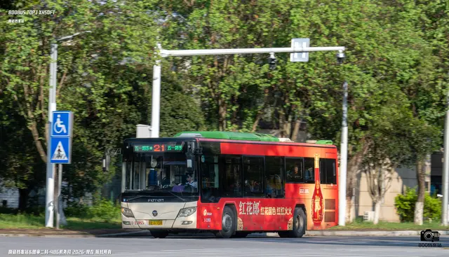 800BUS