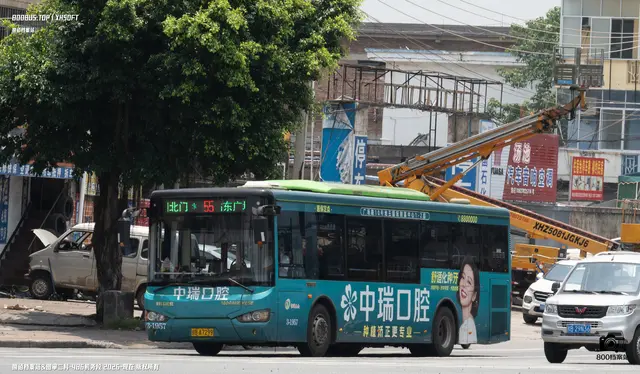 800BUS