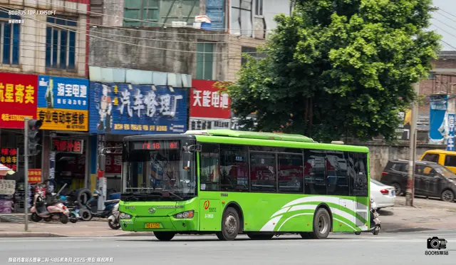 800BUS