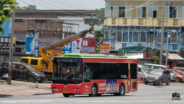800BUS