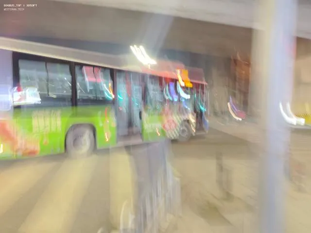 800BUS