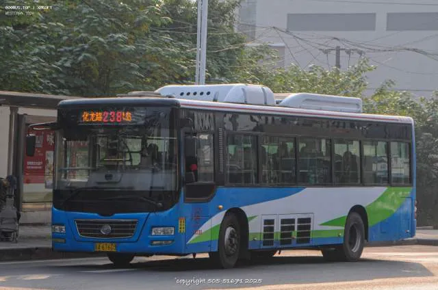 渝A67603