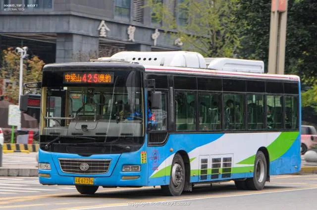 渝A 67396