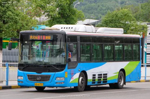 渝A66751