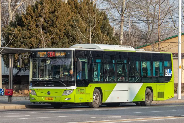 800BUS