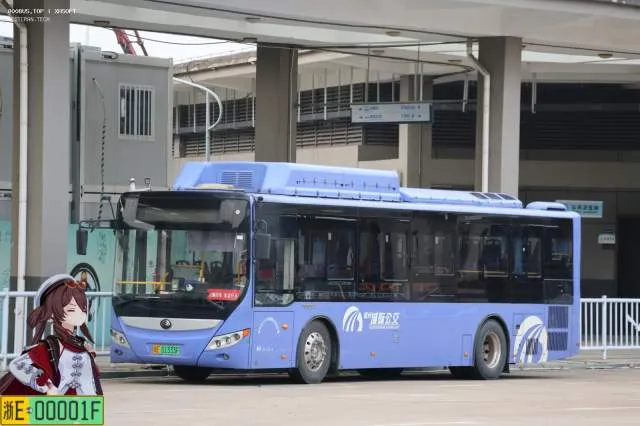 800BUS