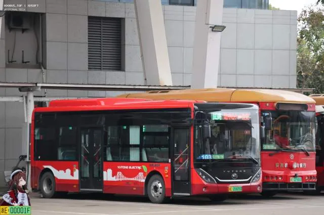 800BUS