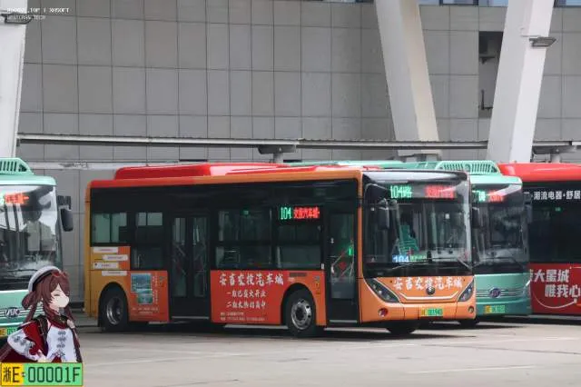 800BUS