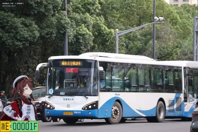800BUS