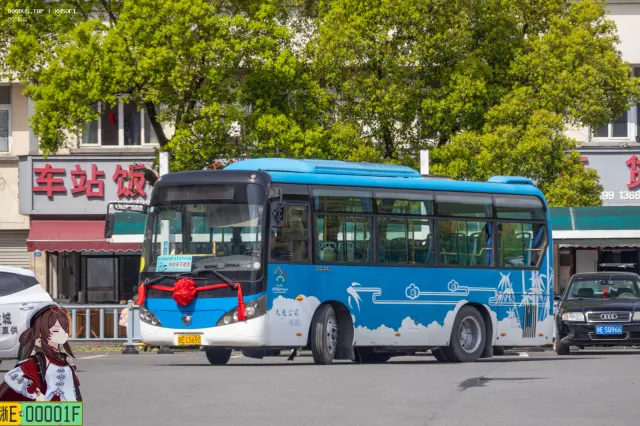 800BUS