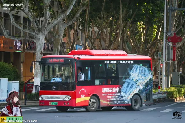 800BUS