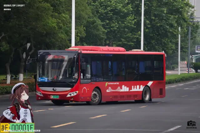 800BUS