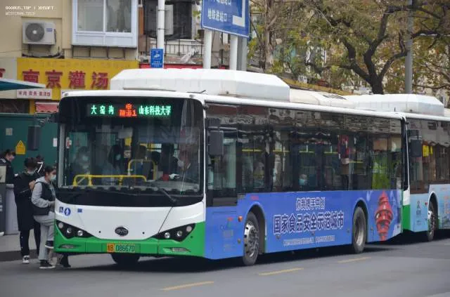 800BUS