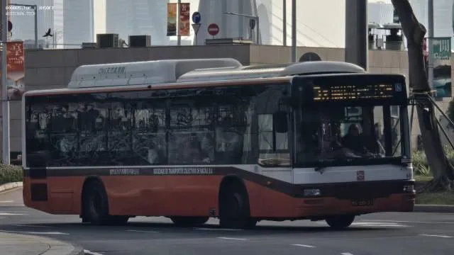 800BUS