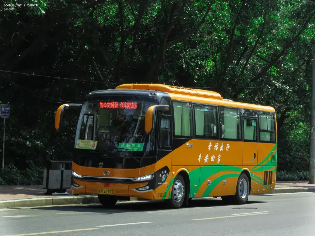 800BUS