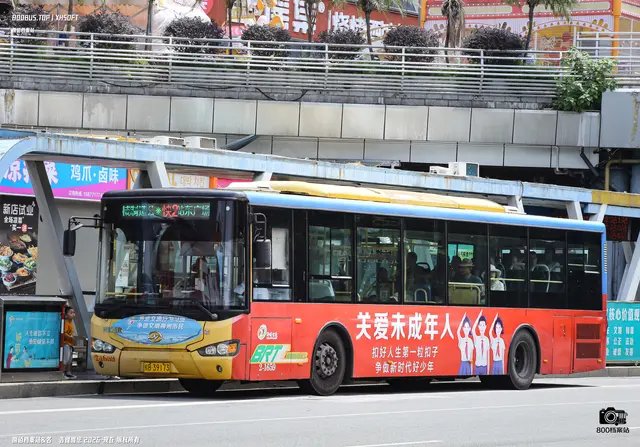 800BUS
