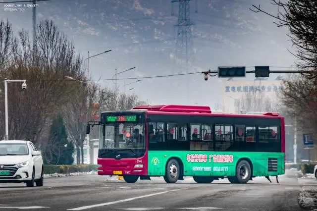 800BUS