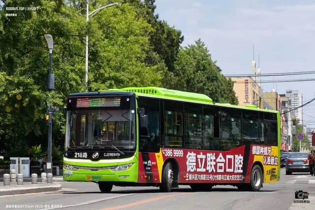 800BUS