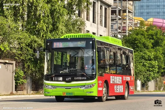 800BUS