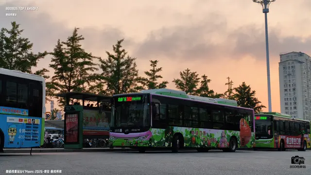 800BUS