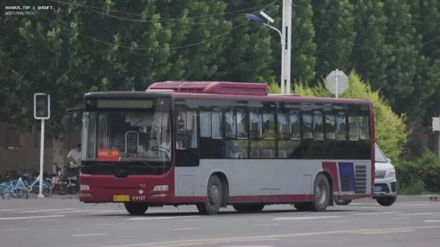 800BUS