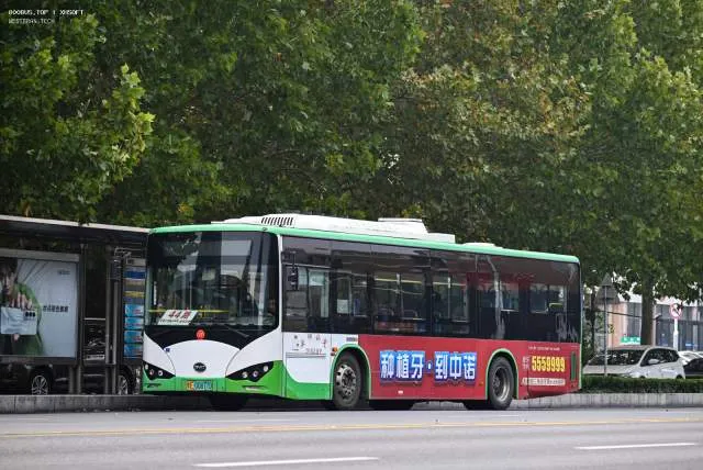800BUS