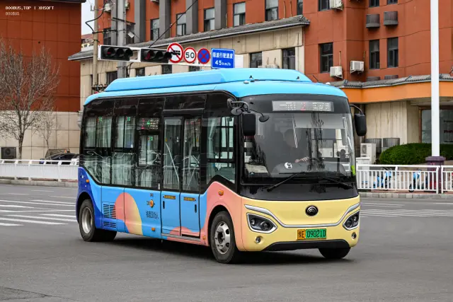800BUS