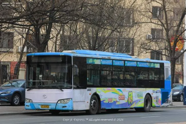 辽C·D5902