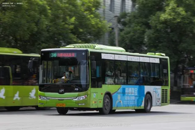 辽C·D6571