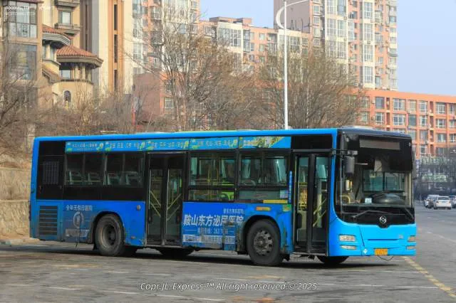 辽C·B2319