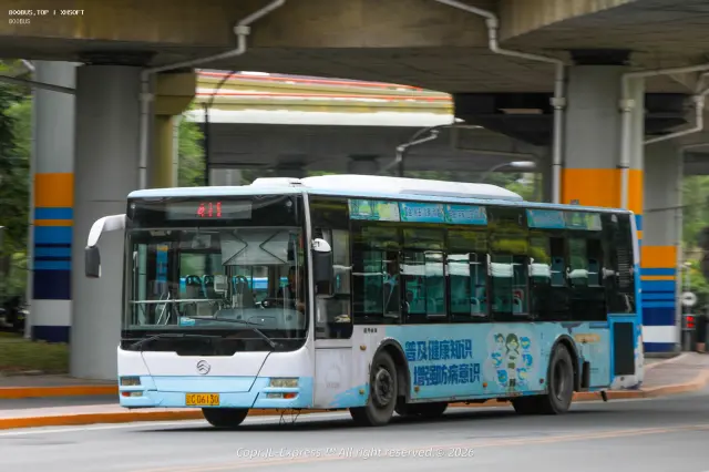 辽C·D6130