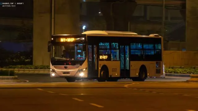 800BUS