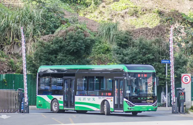 800BUS