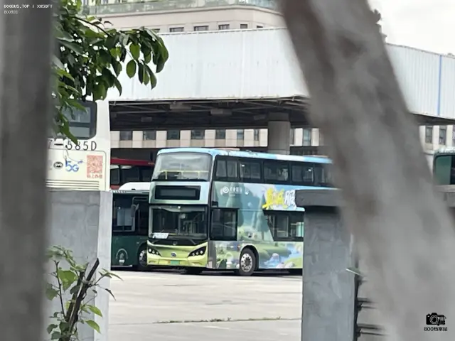 800BUS