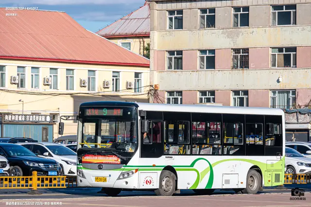 800BUS