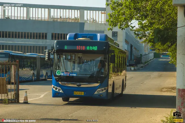 800BUS