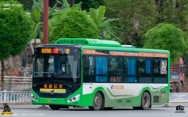 800BUS