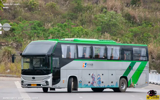 800BUS