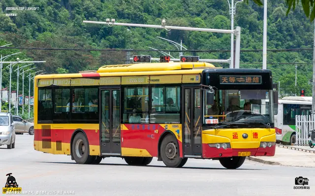 800BUS