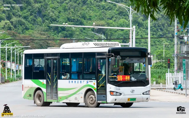 800BUS
