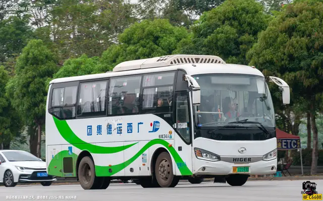 800BUS