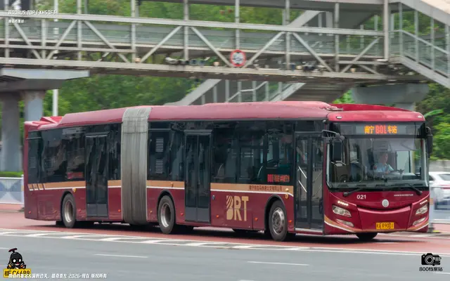 800BUS